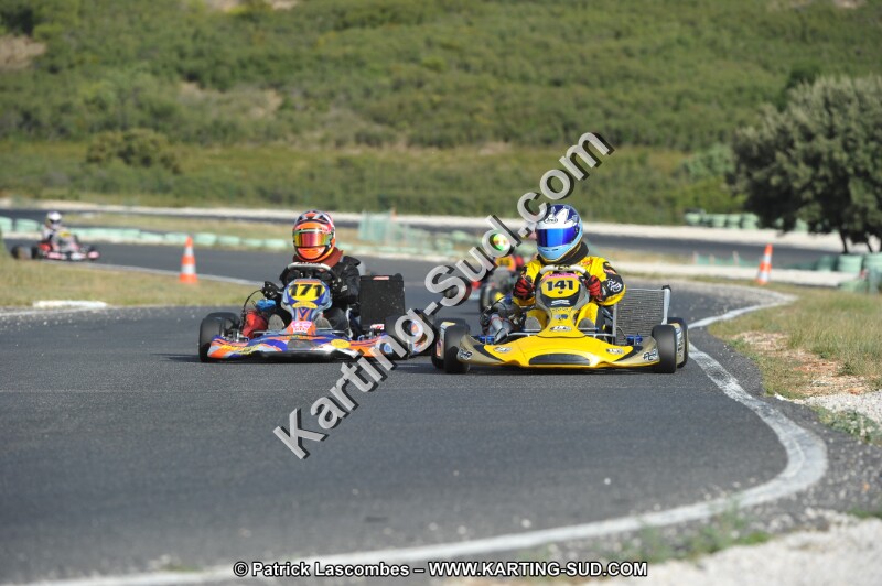 DSC (3995).JPG
